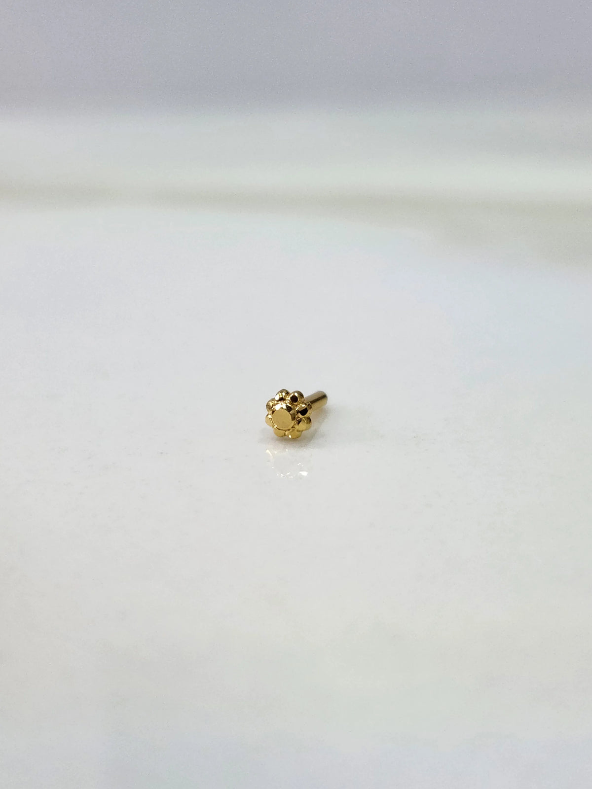 Front view of a small gold nose pin on a white background displaying its compact design