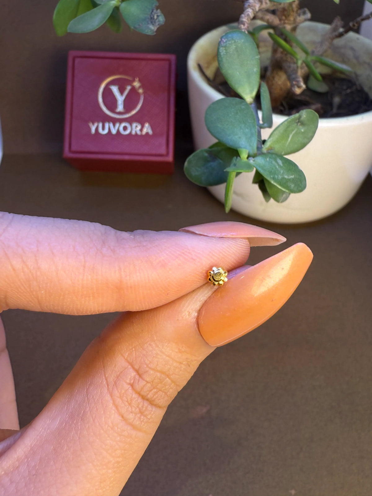 Hand holding a small gold nose pin near a Yuvora box showing its lightweight wearable size