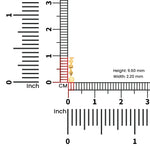 Size reference image of the gold nose ring placed beside a measurement scale on a white background