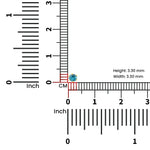 Scale view of blue stone gold nose pin with ruler