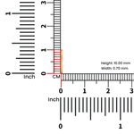 Measurement reference image showing diameter of plain 18K gold hoop nose ring with ruler
