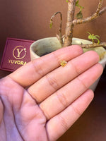 Round flower-shaped gold nose pin with center stone held in hand, Yuvora jewelry packaging in background