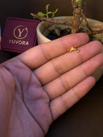 Dolphin-shaped gold nose pin, small and delicate, held in hand