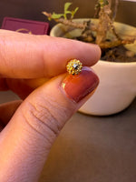 Close-up of round beaded gold nose pin with white stone center, held between fingertips