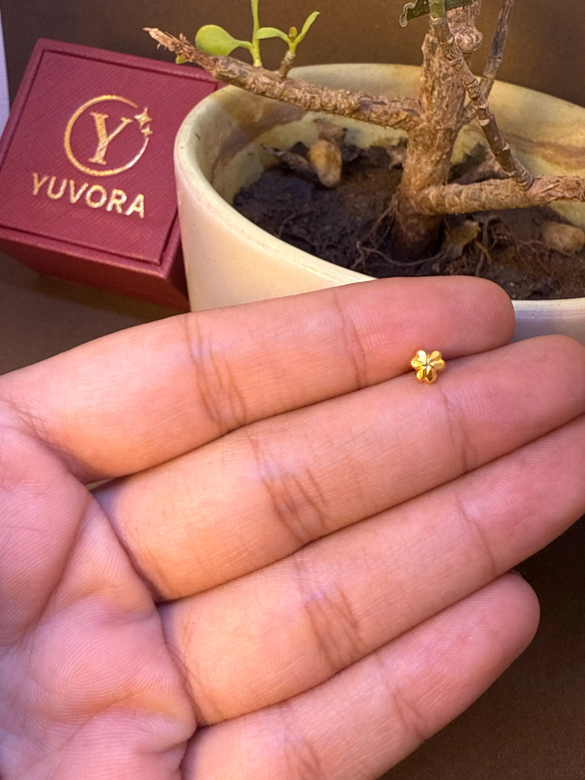 Small plain gold flower-shaped nose pin stud resting on fingers