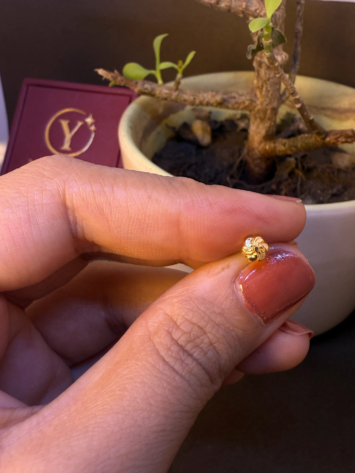 Gold rosette-shaped nose pin stud held between fingers near a bonsai plant