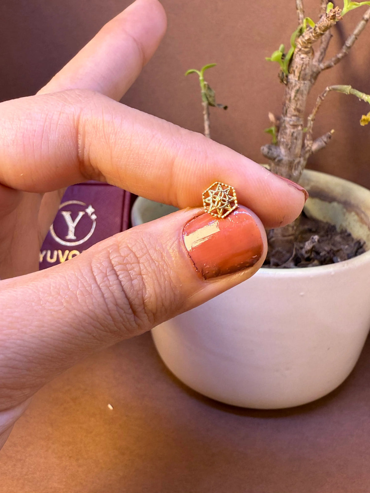 Hexagon-shaped gold nose pin with geometric lattice design, held between fingertips