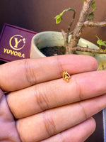 Traditional paisley-shaped gold nose pin with mango motif, held in hand
