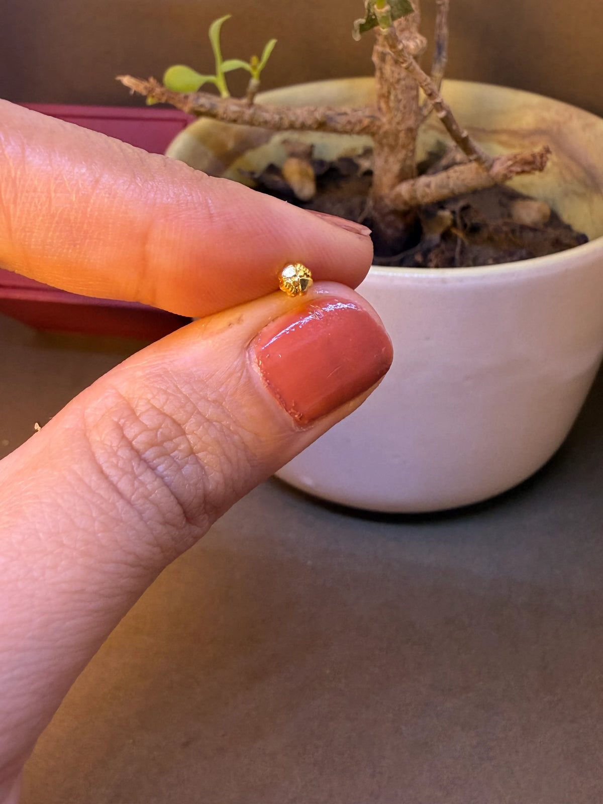 Small round gold nose pin with textured surface, held between fingertips