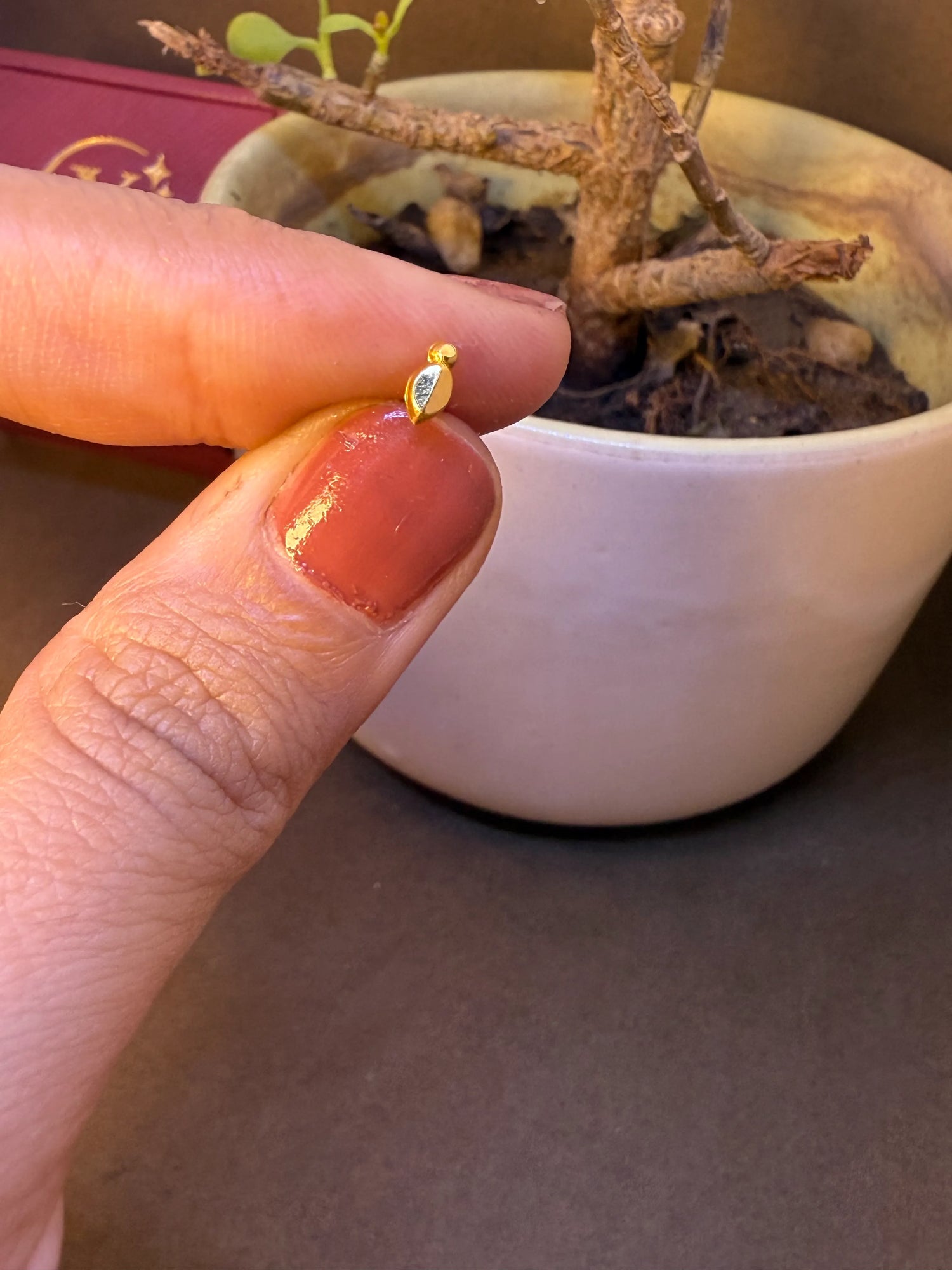 Small plain curved gold nose pin stud held on fingertip near a bonsai plant