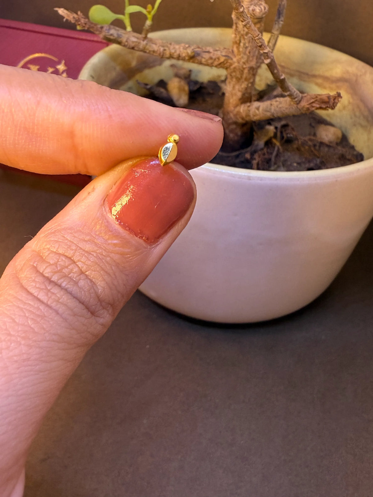 Small plain curved gold nose pin stud held on fingertip near a bonsai plant