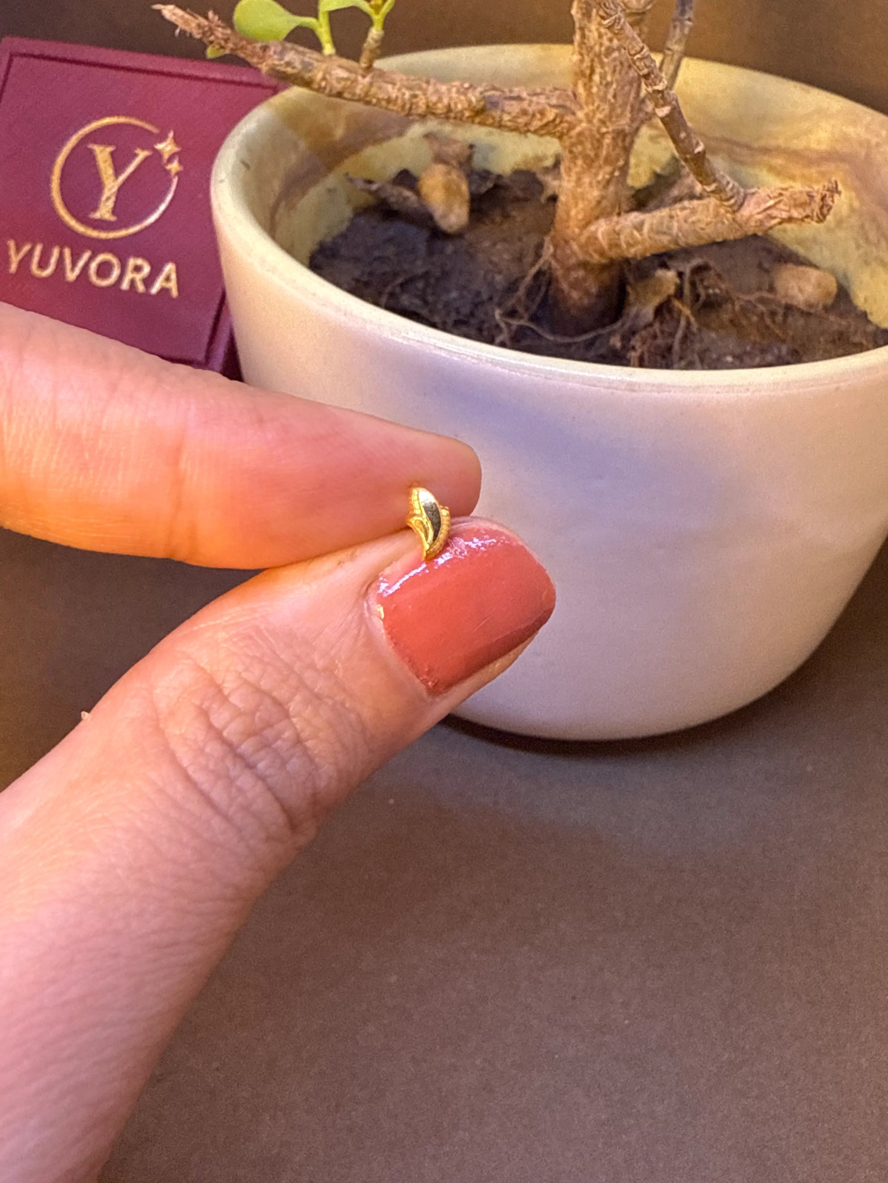 Small gold heart-shaped nose pin stud resting on fingertip near a bonsai plant